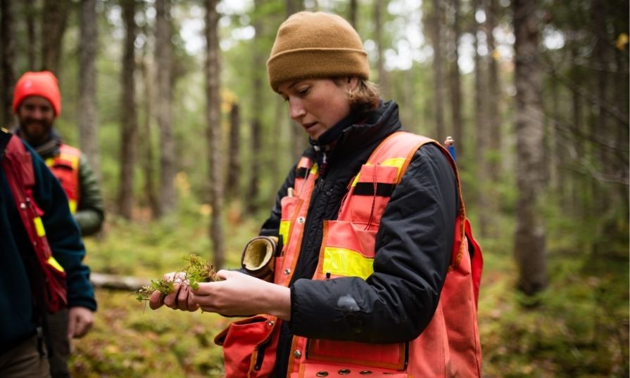 Master of Forest Management