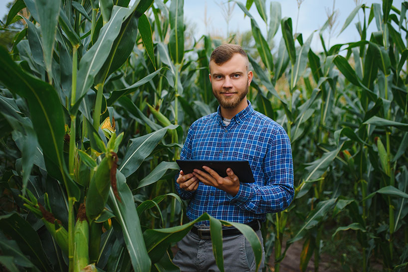 Bachelor of Agriculture