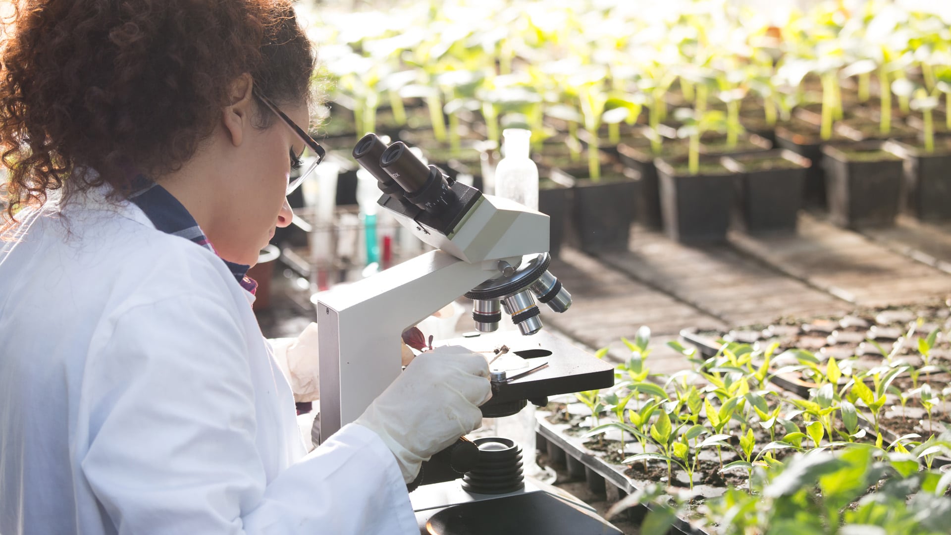 Bachelor of Environmental Science