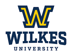 Wikes University
